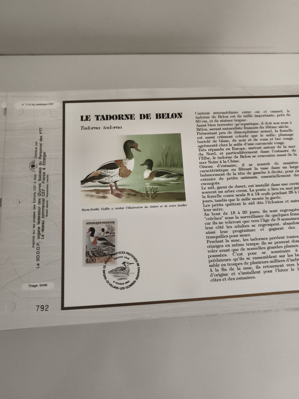 Feuillet philatélique CEF Tadorne de Belon timbre 4,00 F oiseau France