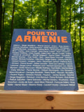 Disque vinyle 45 tours Pour toi Arménie ancien chanson française vintage
