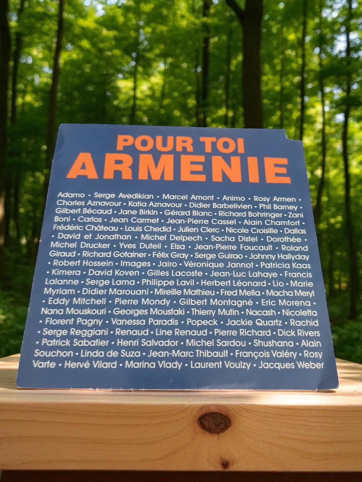 Disque vinyle 45 tours Pour toi Arménie ancien chanson française vintage