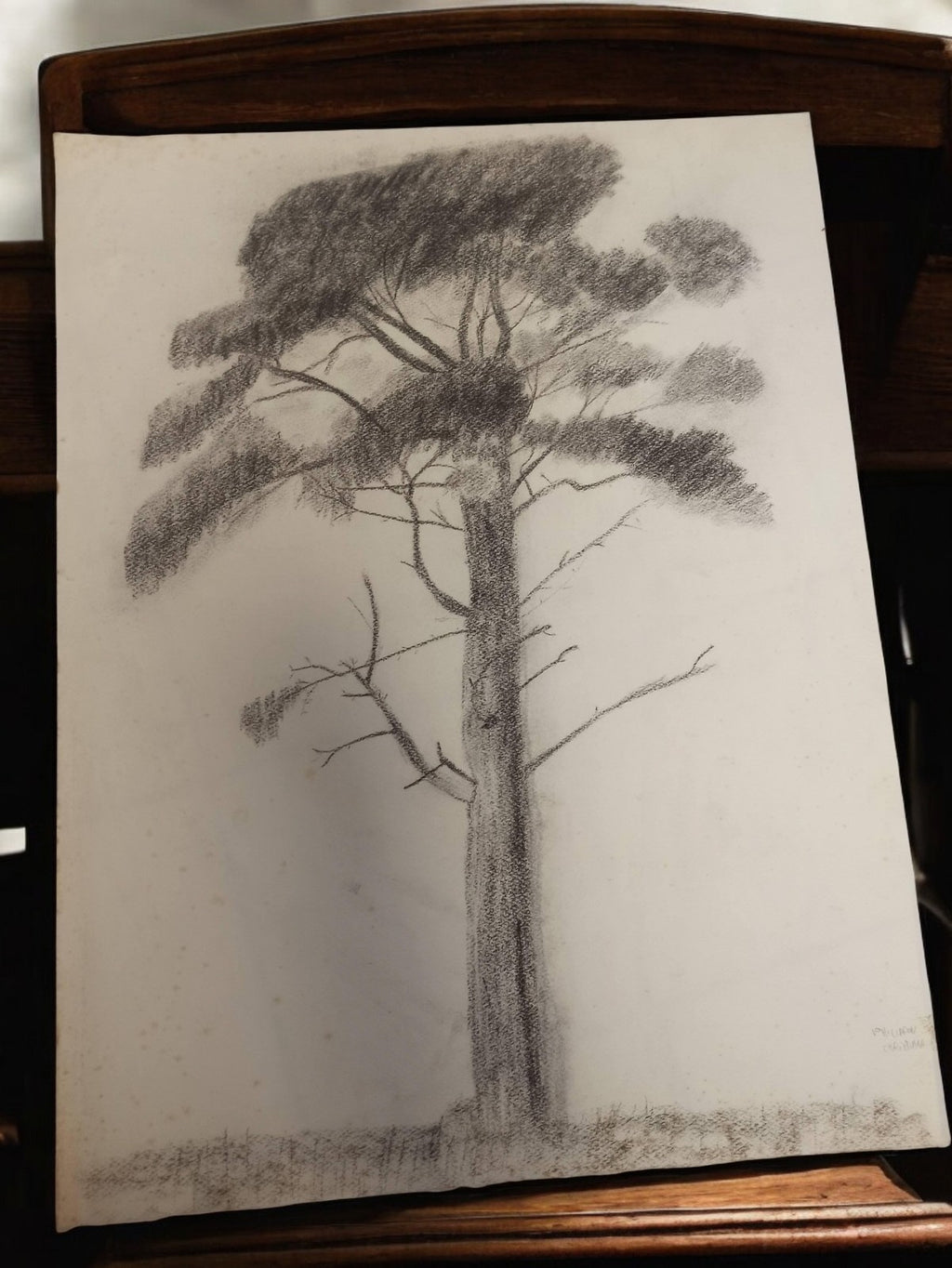 Dessin ancien arbre signé Philippon, art vintage rétro, graphite original