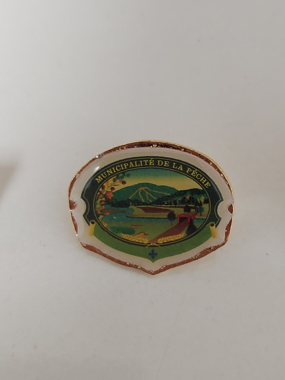Pin's ancien municipalité pêche, badge vintage collection France rétro original