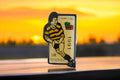 Pin's rugby SM Réserves 1991 vintage Côte Basque Landes champions