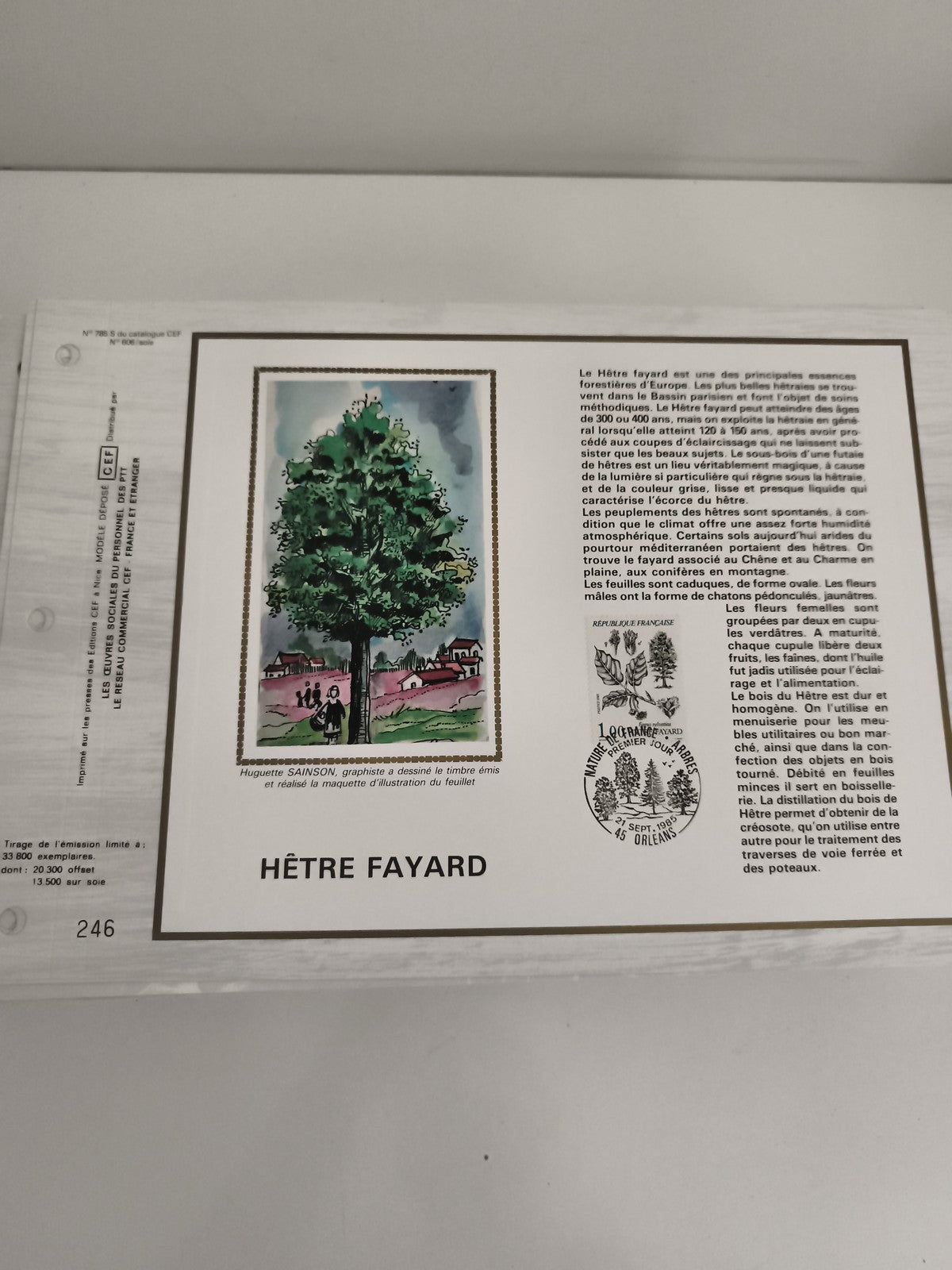Feuillet CEF Hêtre Fayard philatélie timbre illustré France oblitéré forêt