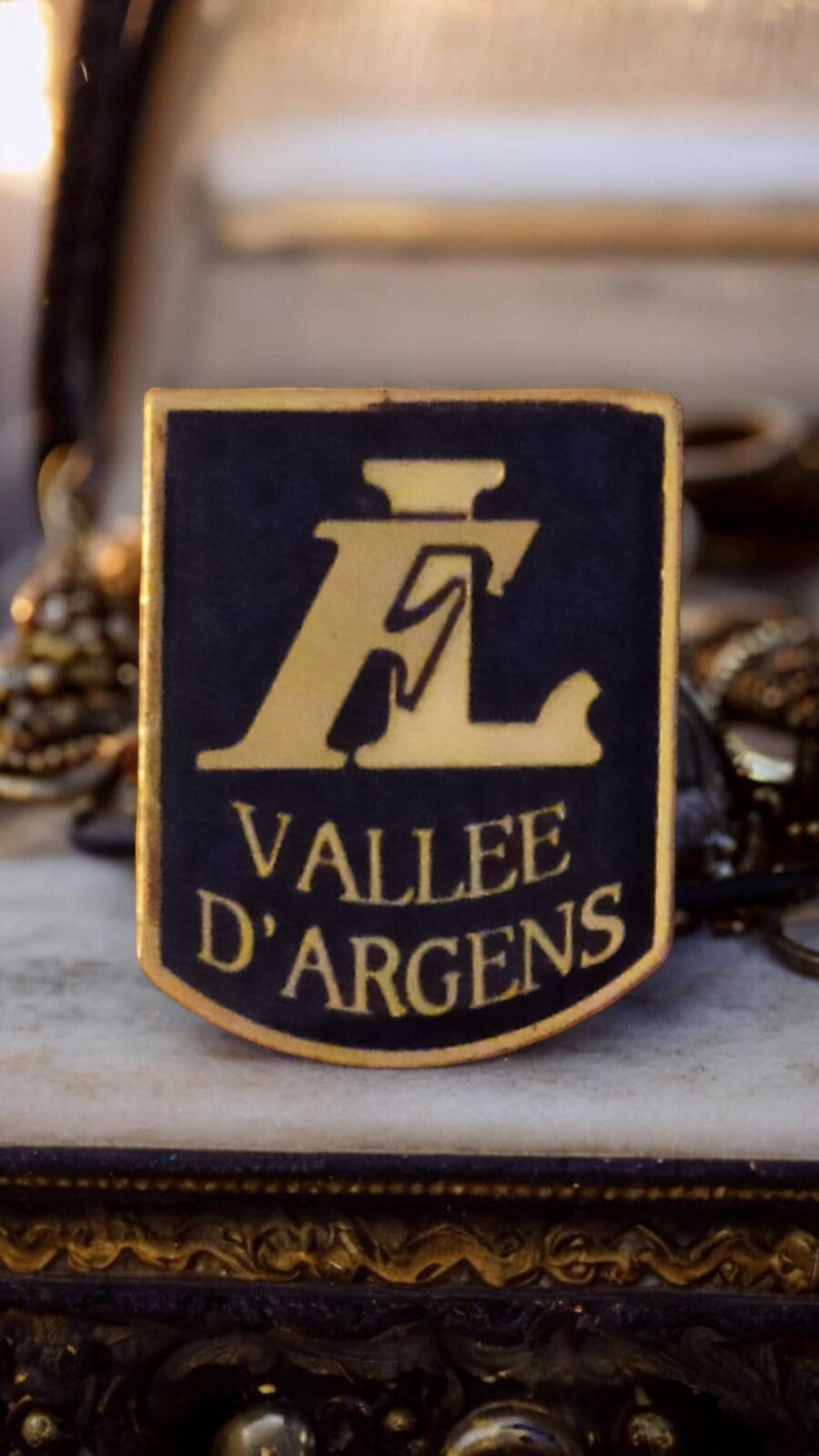 Pin's vintage Vallée d'Argens blason noir doré rétro badge émaillé