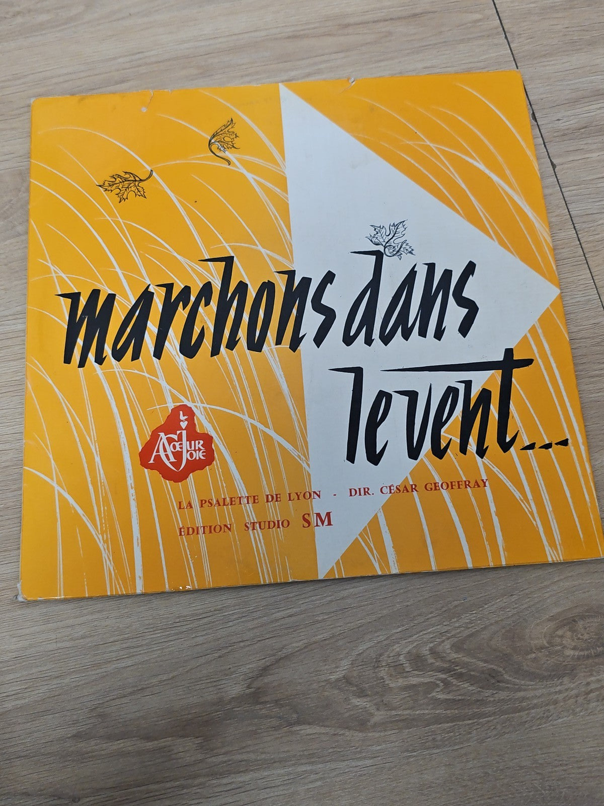 Vinyle 33T rétro "Marchons dans le vent" ancien disque collector musique vintage
