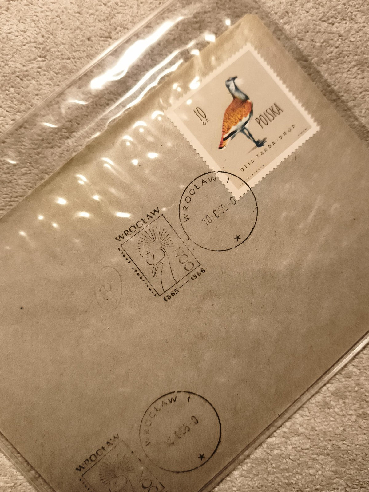 Timbre oiseau Pologne 10gr Otis tarda, oblitéré Wroclaw, philatélie (Ref 11)