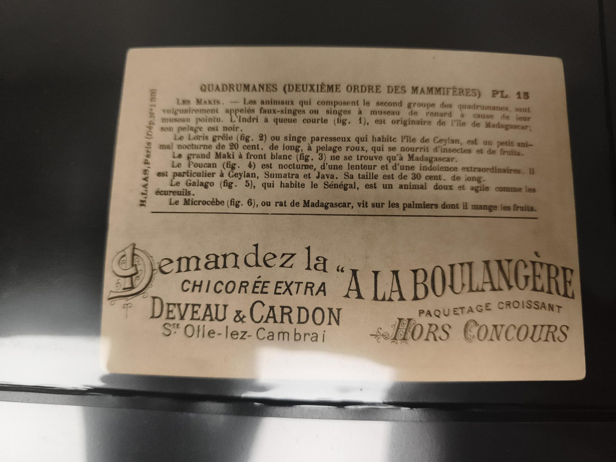 Carte publicitaire ancienne Deveau Cardon Quadrumanes singes Madagascar chicorée