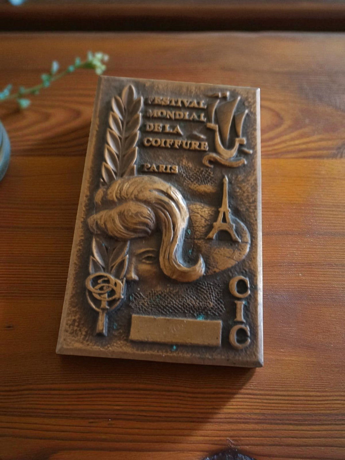 Plaque médaille bronze Festival Mondial Coiffure Paris vintage années 60-70