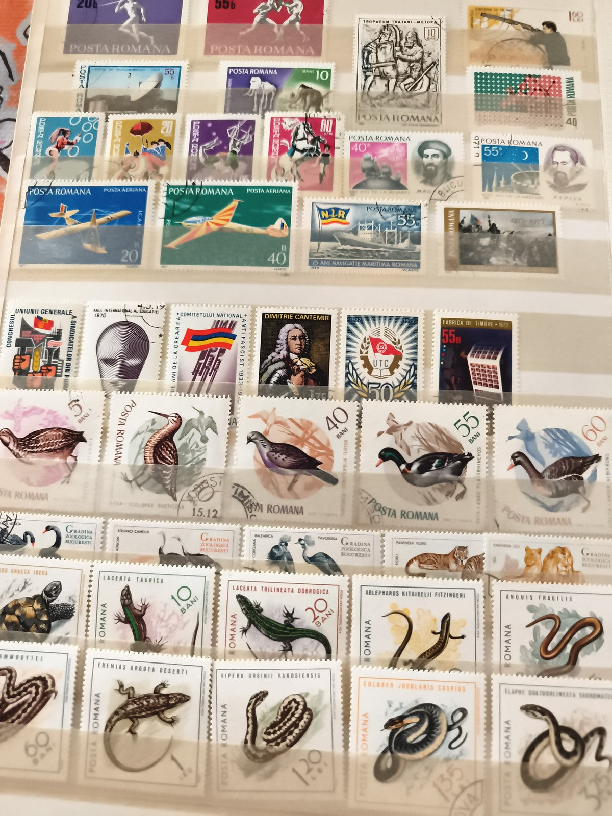 Timbres anciens Roumanie animaux sports POSTA ROMANA thématiques lot philatélie