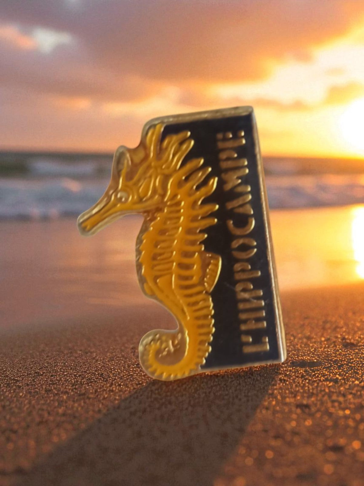 Pin's ancien L'Hippocampe publicitaire rétro badge vintage doré