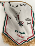 Fanion ancien sport handicapé Venosa Italia FISHA A.M. Taigi vintage