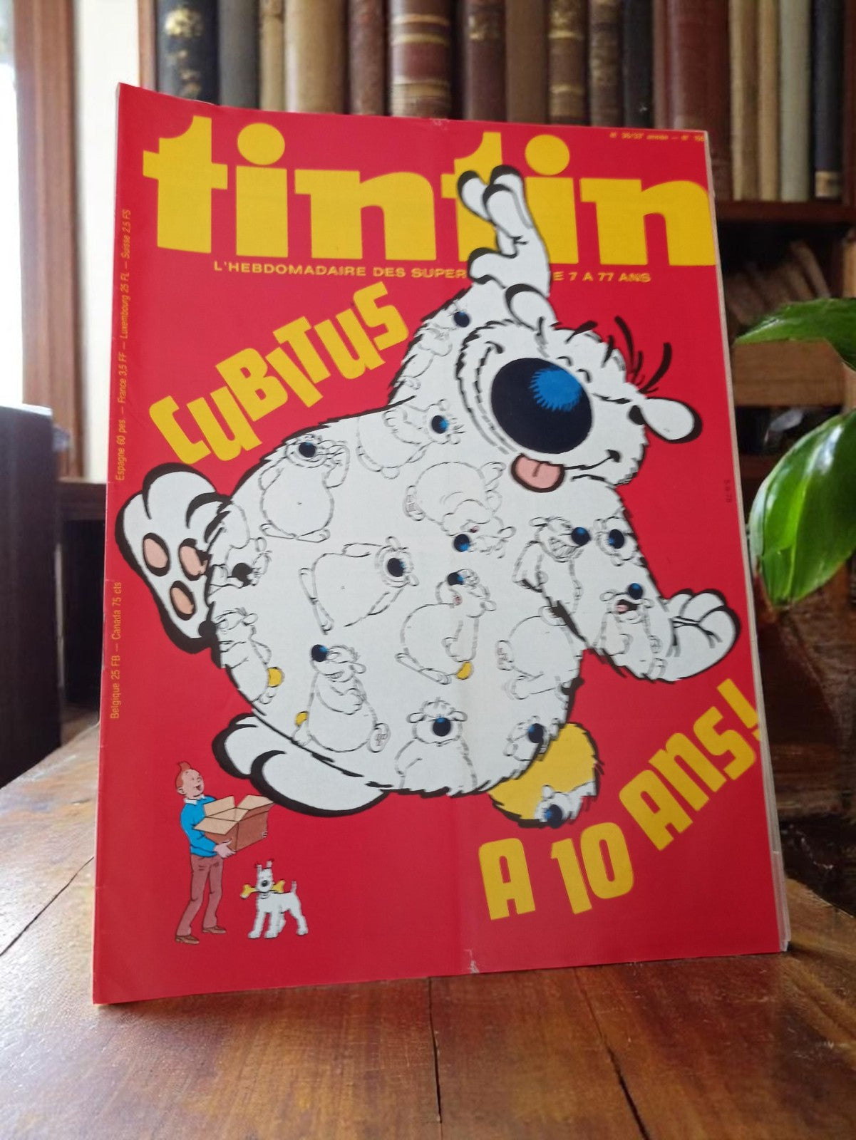 Magazine Tintin Vintage - Numéro Collector - Illustrations Rétro