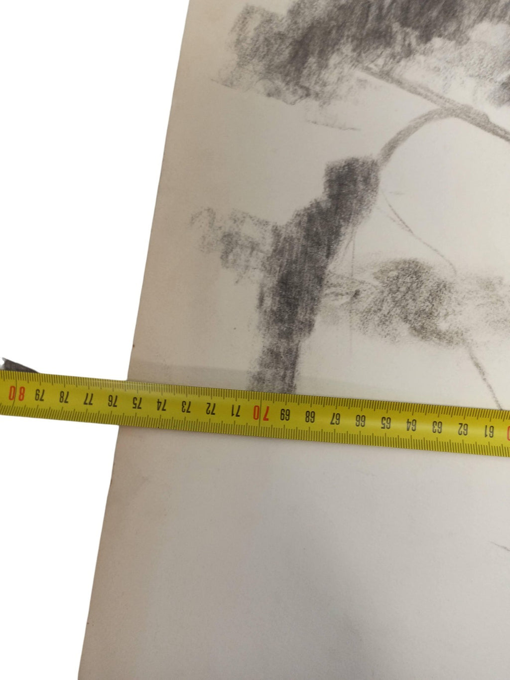 Dessin ancien arbres signé Philippon, étude vintage paysage déco murale