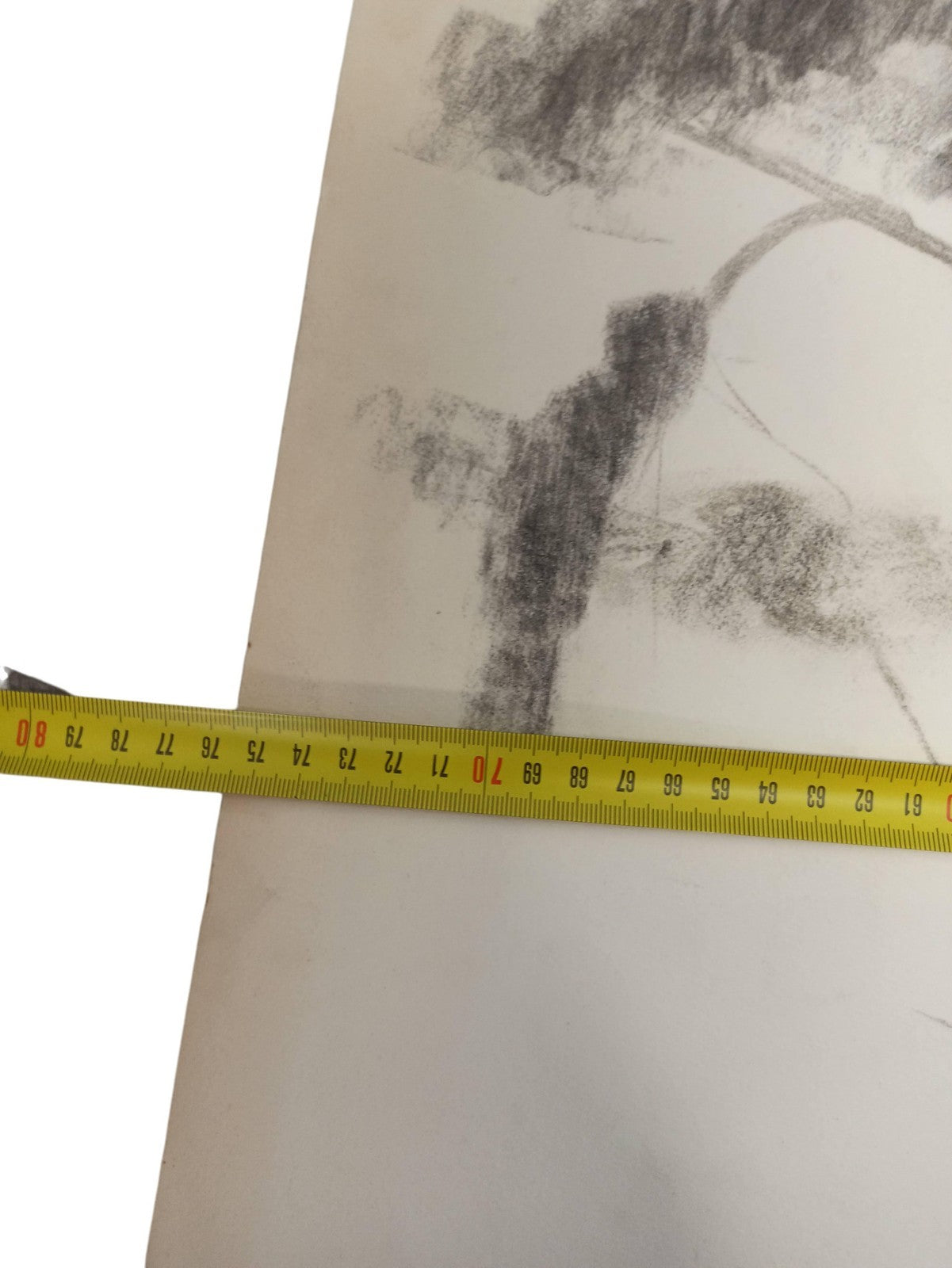 Dessin ancien arbres signé Philippon, étude vintage paysage déco murale