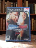 Jeu PS2 SmackDown vs Raw 2009 THQ vintage WWE catch ECW PAL