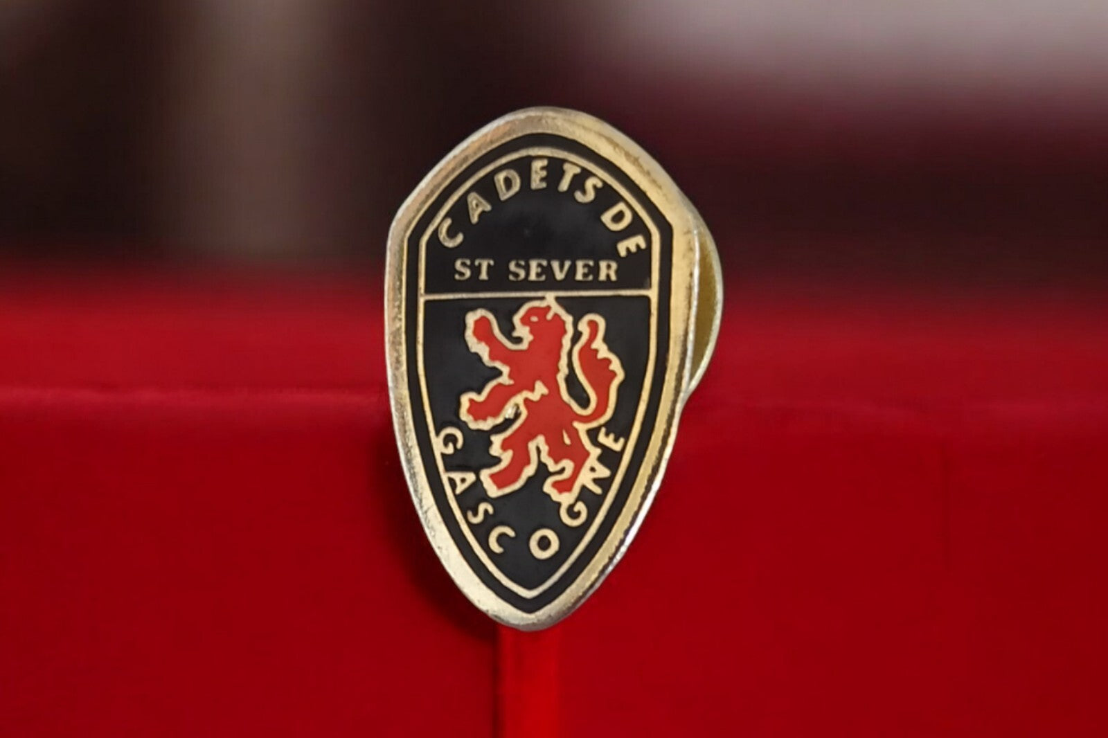 Pin's vintage Cadets de Gascogne St Sever blason lion rouge collection