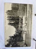 Carte postale CPA Paris Parc Montsouris Les Bords du Lac C.M. photo ancienne