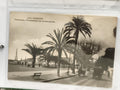 Carte postale ancienne Cannes Palmiers Croisette CPA noir et blanc vintage
