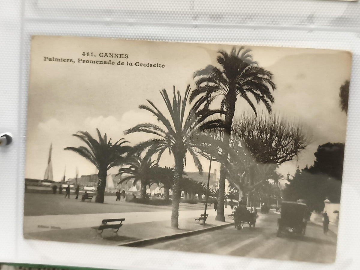 Carte postale ancienne Cannes Palmiers Croisette CPA noir et blanc vintage