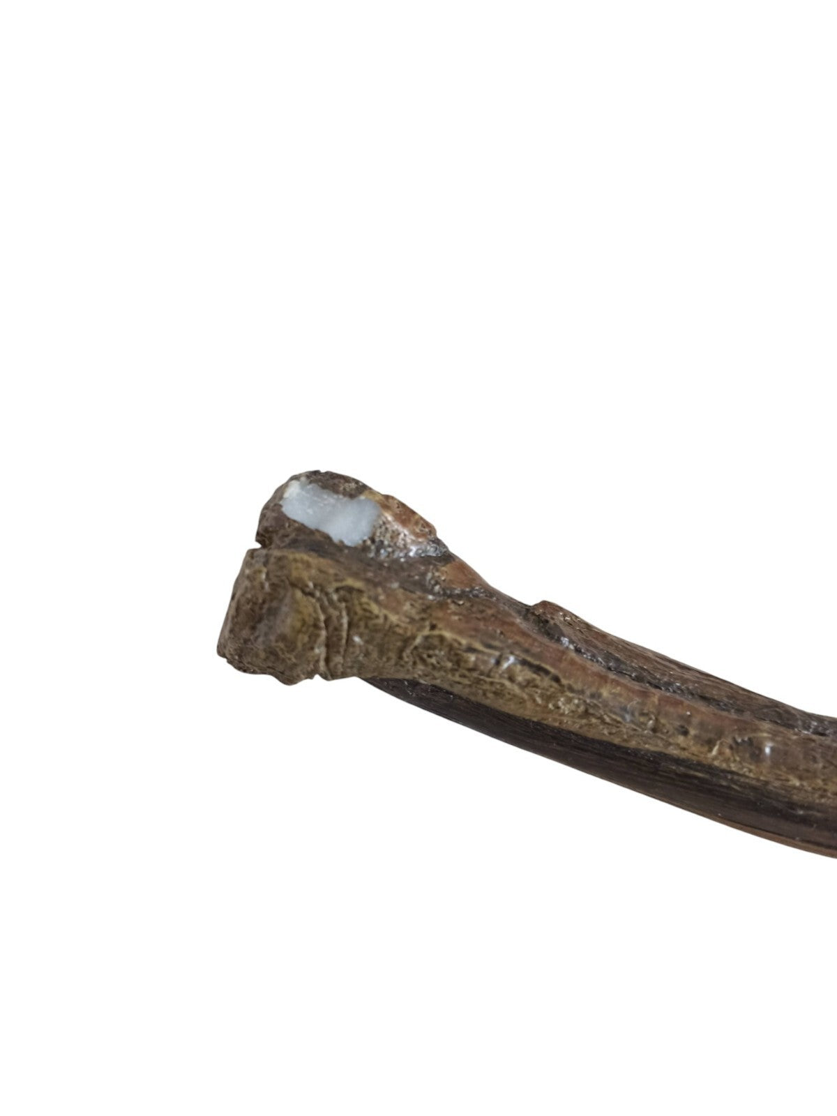 Baguette Harry Potter aspect bois foncé, baguette sorcier, cosplay magie