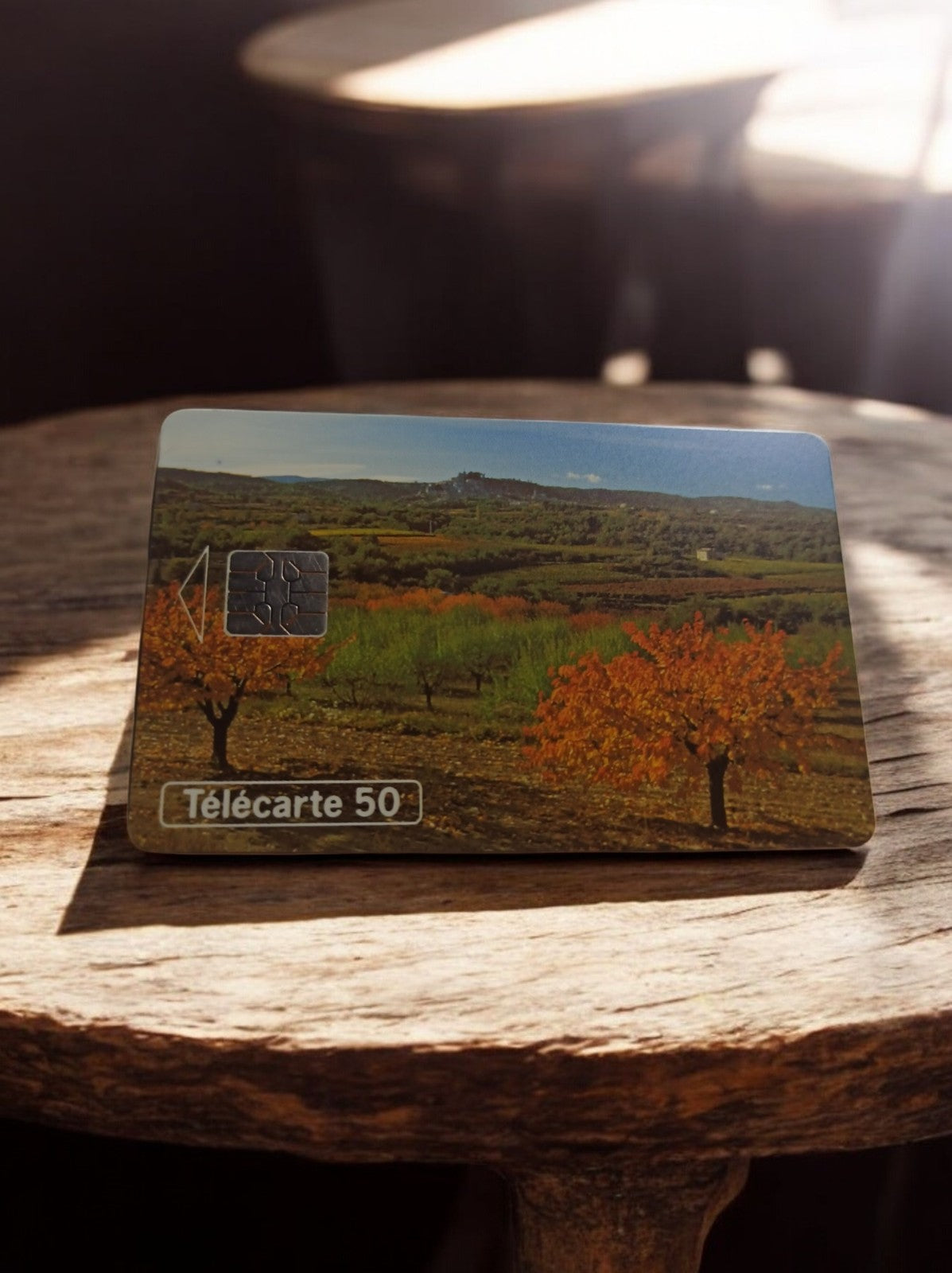 Carte téléphonique vintage Télécarte 50 unités paysage rural puce France