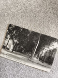 Carte postale CPA Montargis Avenue de la Gare LL noir et blanc