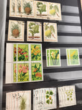 Timbres anciens S. Tomé e Príncipe botanique fleurs fruits lot oblitérés vintage