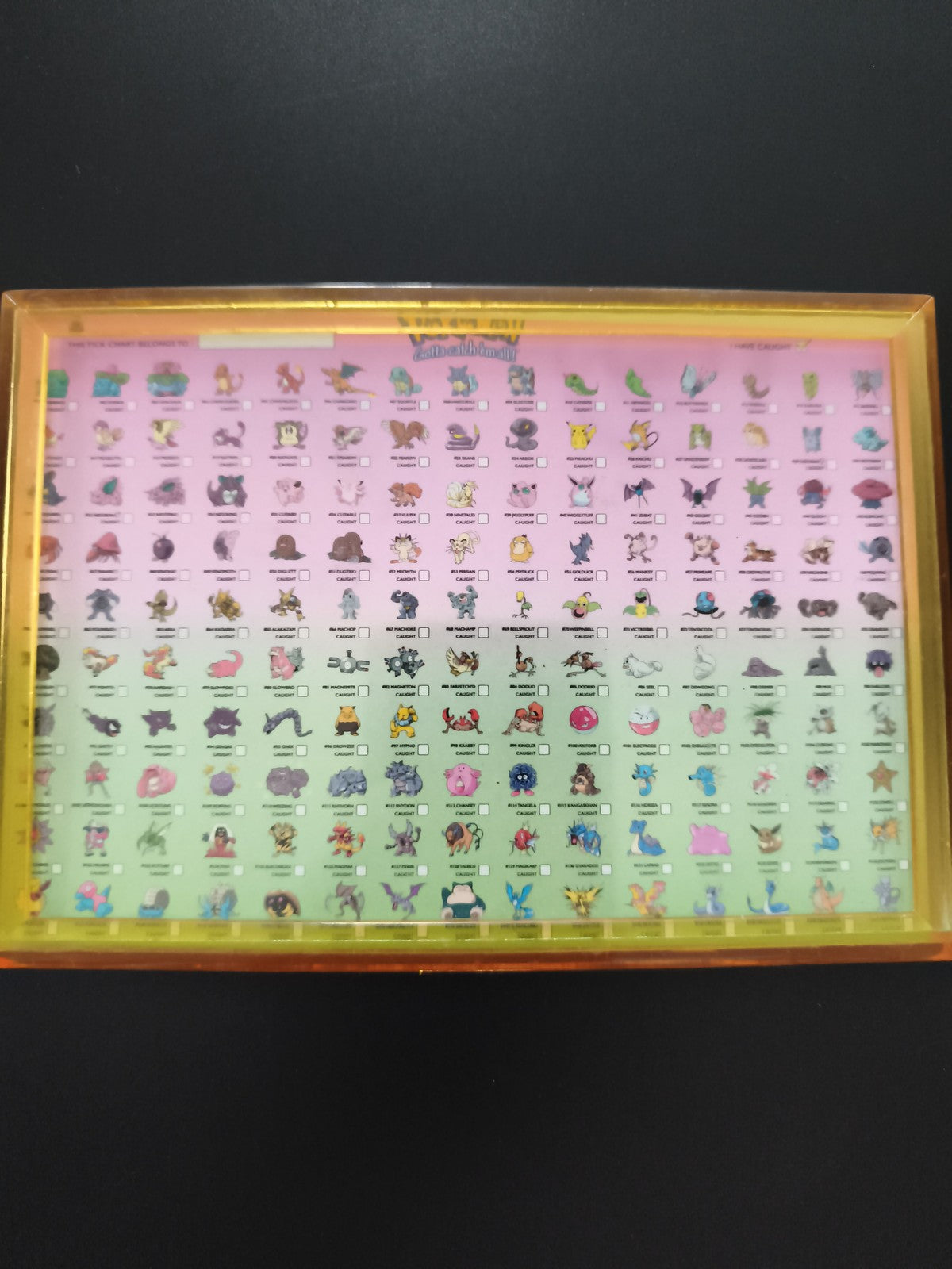Petit cadre Pokémon Kanto 151 affichage mural décoratif