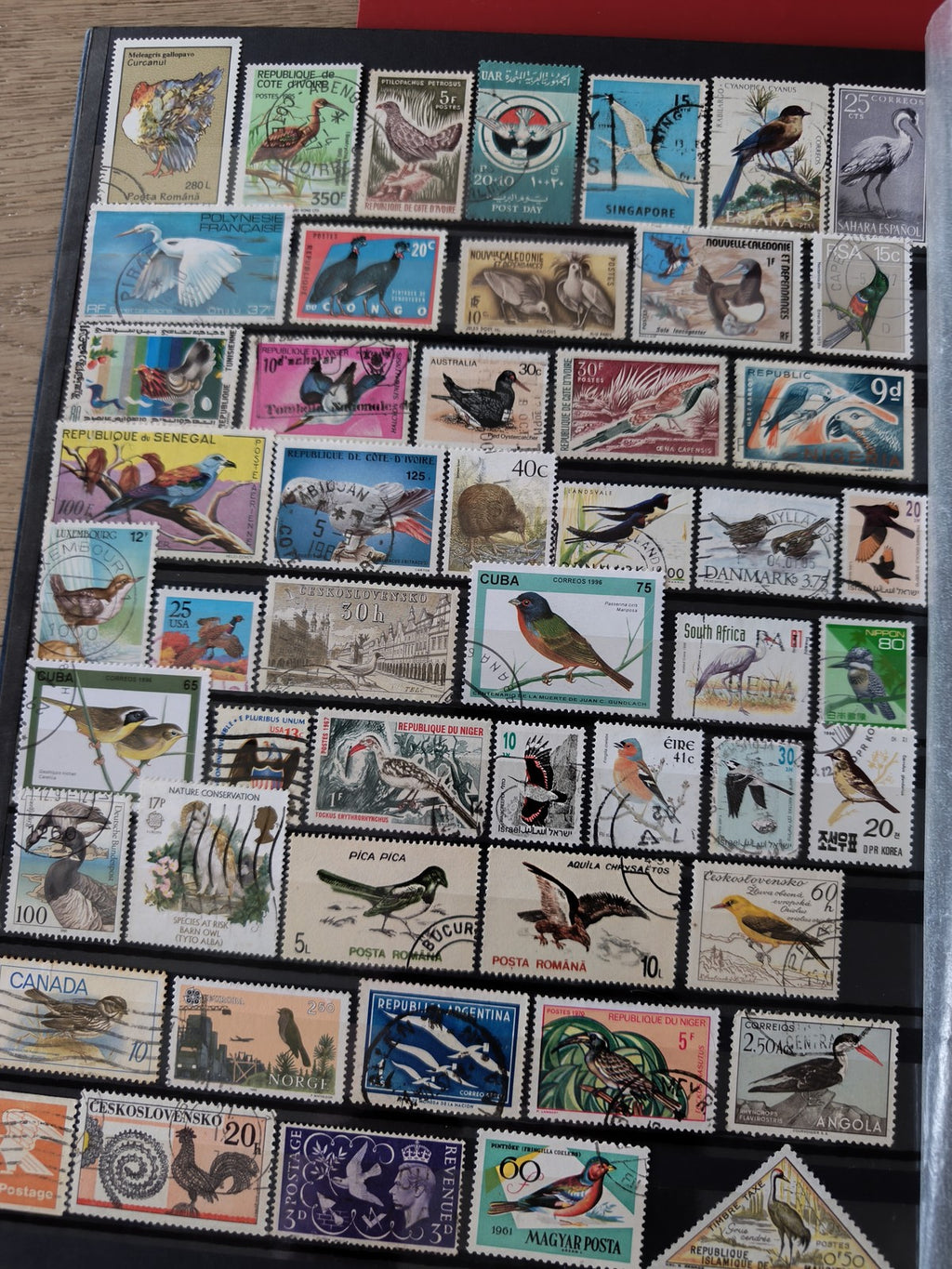 Classeur ancien de timbres oiseaux du monde, collection thématique, multicolore