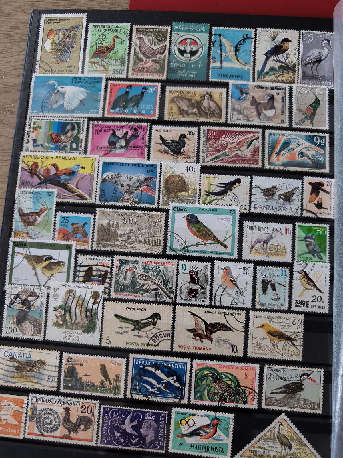 Classeur ancien de timbres oiseaux du monde, collection thématique, multicolore