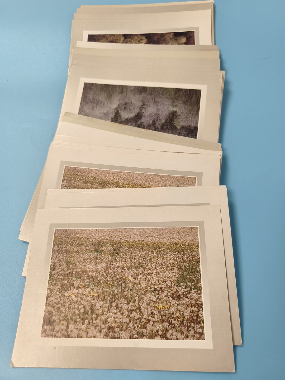 Lot de grandes cartes postales vintage paysages nature format XL collection