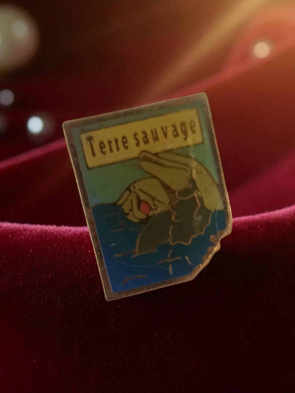 Pin's vintage Terre Sauvage dauphin badge publicitaire ancien rétro