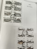 Timbres poissons Oman 1972 oblitérés lot philatélie thématique poste