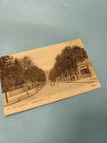 Ancienne carte postale animée Remiremont avenue Carnot vintage collection