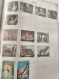 Timbres Sharjah animaux chiens chats sports portraits oblitérés philatélie
