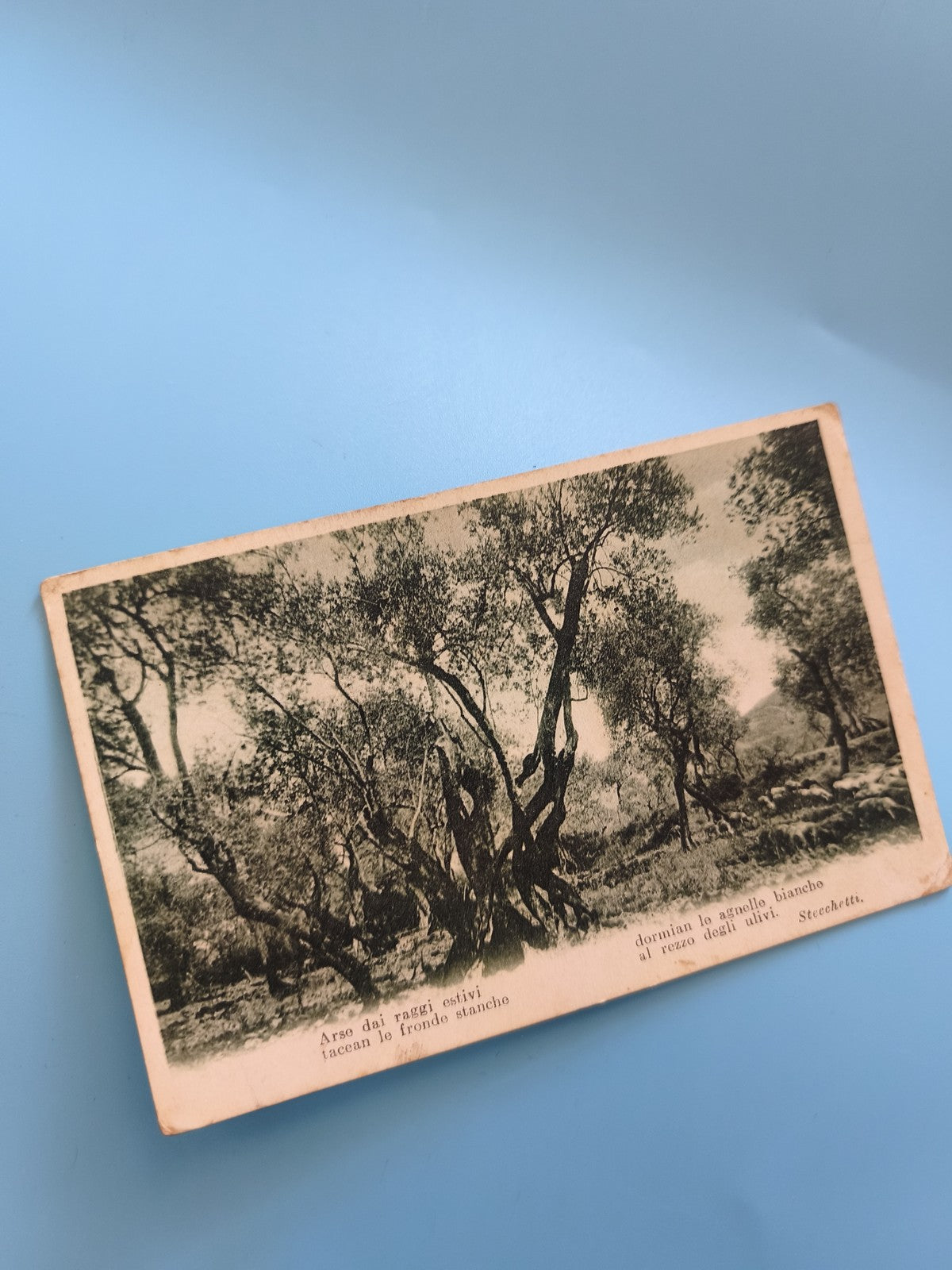 Carte postale ancienne vintage "Arse dai raggi estivi" rétro collection Italie