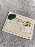 Carte postale hongroise timbrée Temesvár Transylvanie philatélie