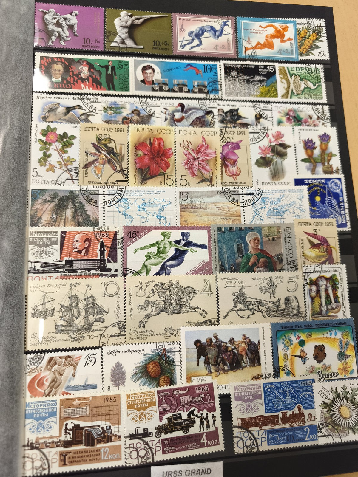 Lot de timbres URSS thématiques animaux, fleurs, sport, oblitérés, multicolores