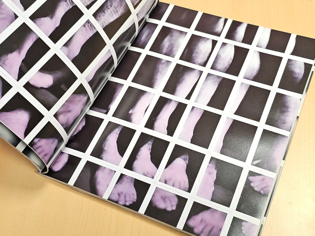 Livre Castro Polo Galerie Enrico Navarra Paris 1996 Art Catalogue Exposition