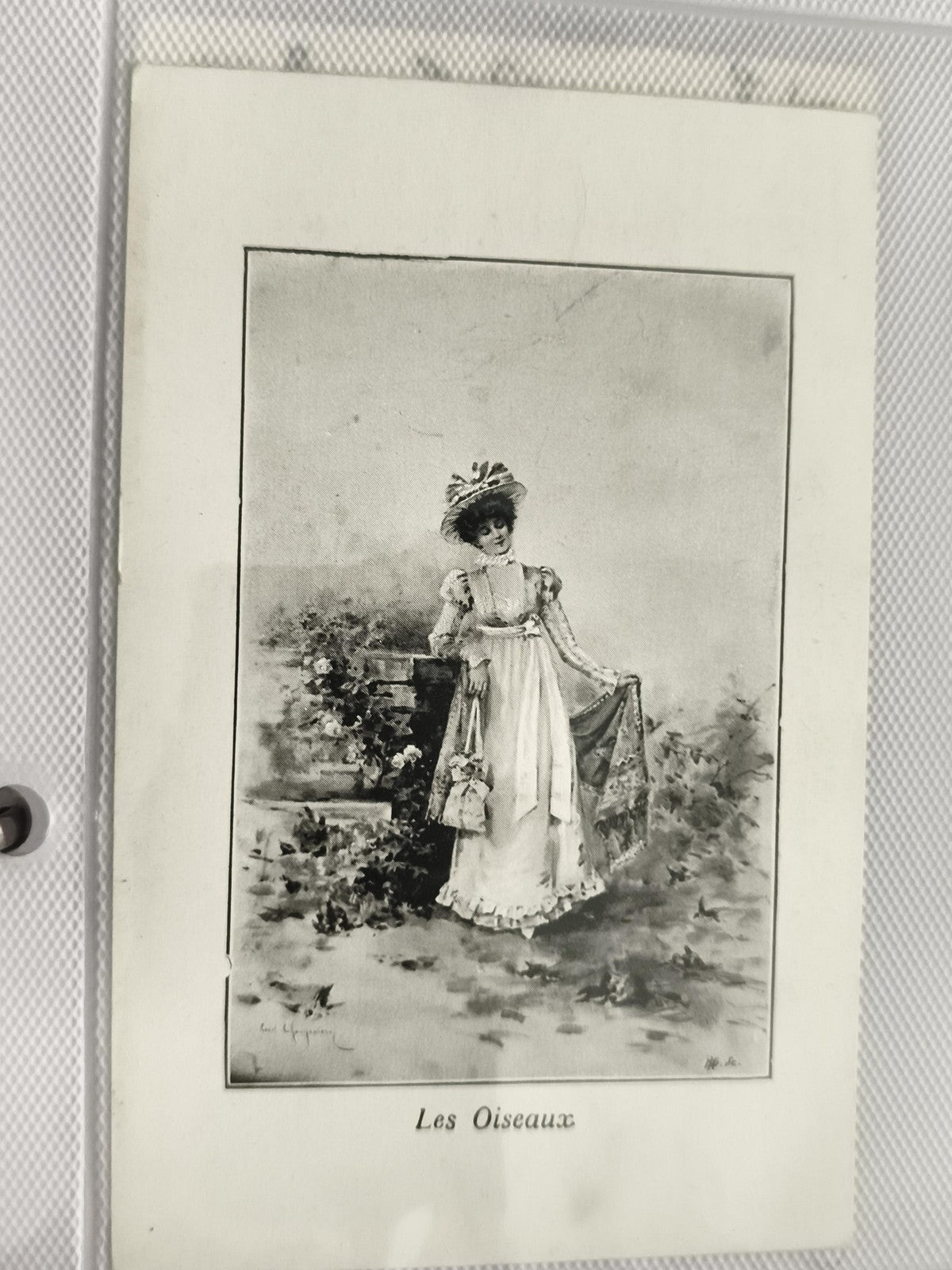 Carte postale ancienne Les Oiseaux élégante époque 1900 illustration rétro CPA