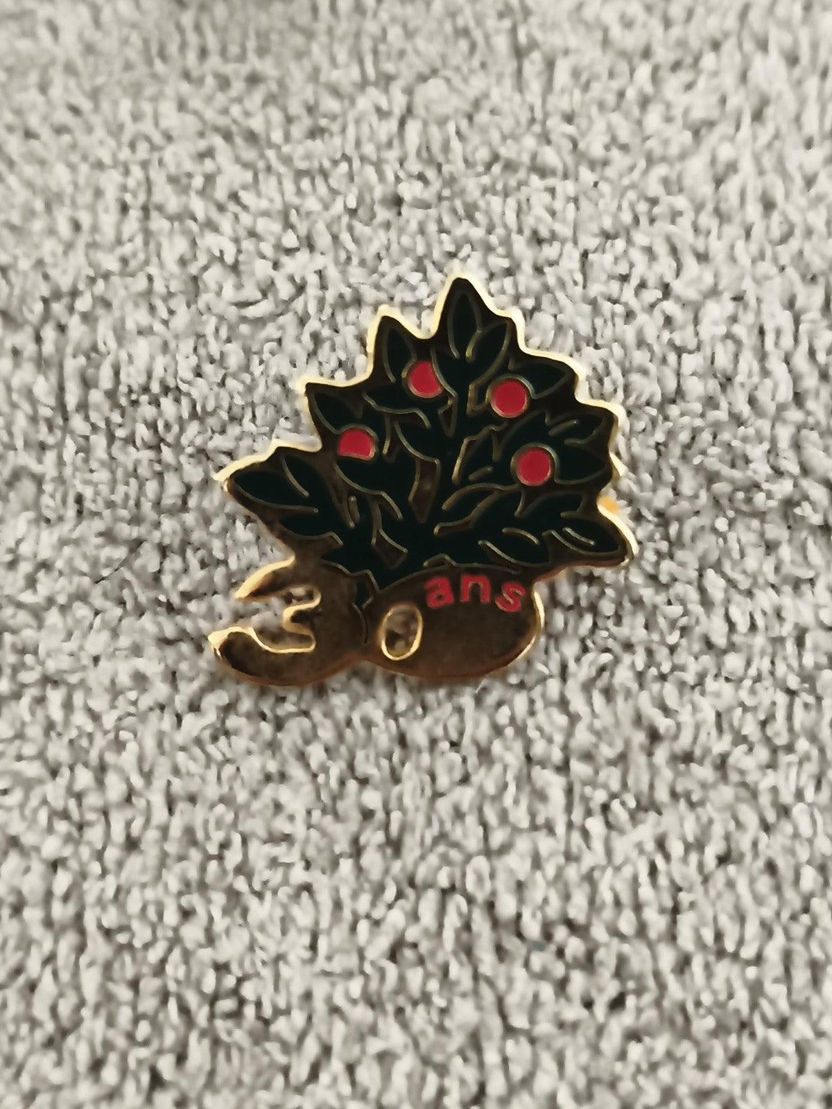 Pin's vintage 30 ans feuillage vert rouge doré ancien badge émaillé (Ref 1)