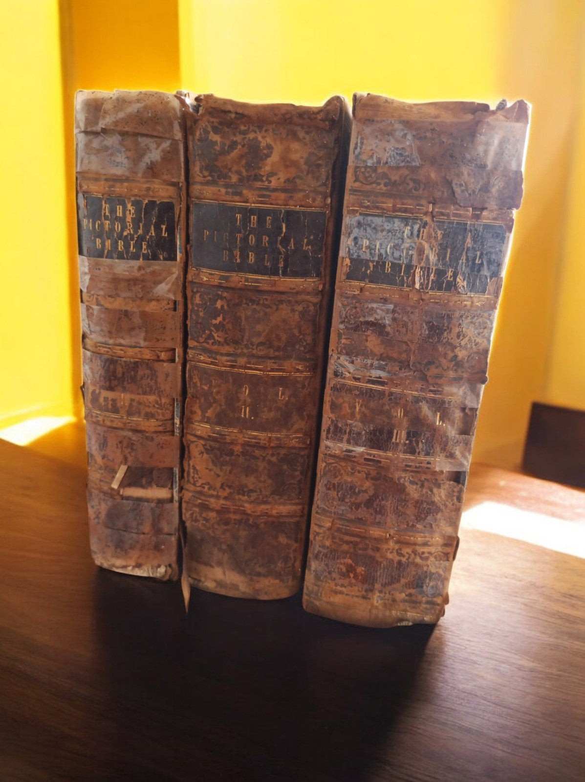 The Pictorial Bible 1836 – Lot 3 Tomes – Ancienne édition anglaise rare