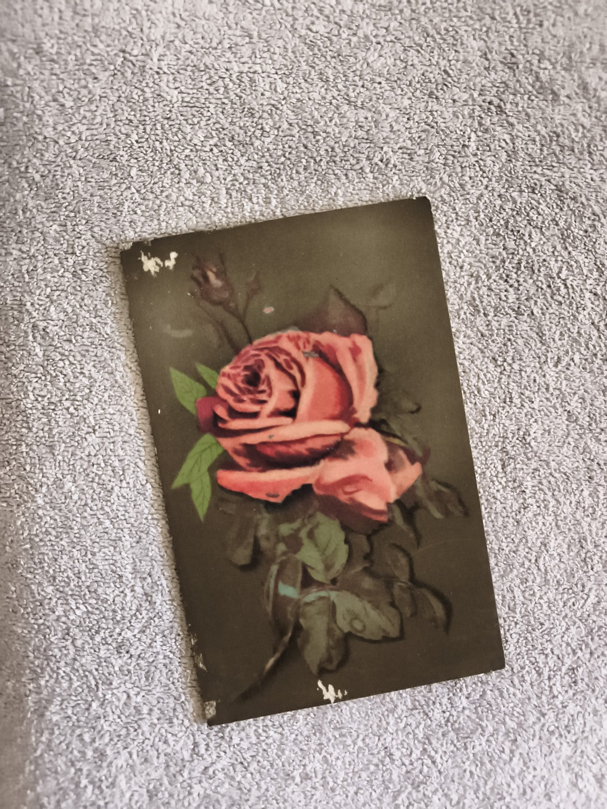 Carte postale illustrée rose rouge CPA motif floral ancien