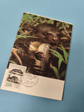 Carte postale philatélie loutre ? illustration animalier, timbre Histoire Nature