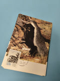 Carte postale philatélie blaireau timbre France faune nature 1989 Montbard