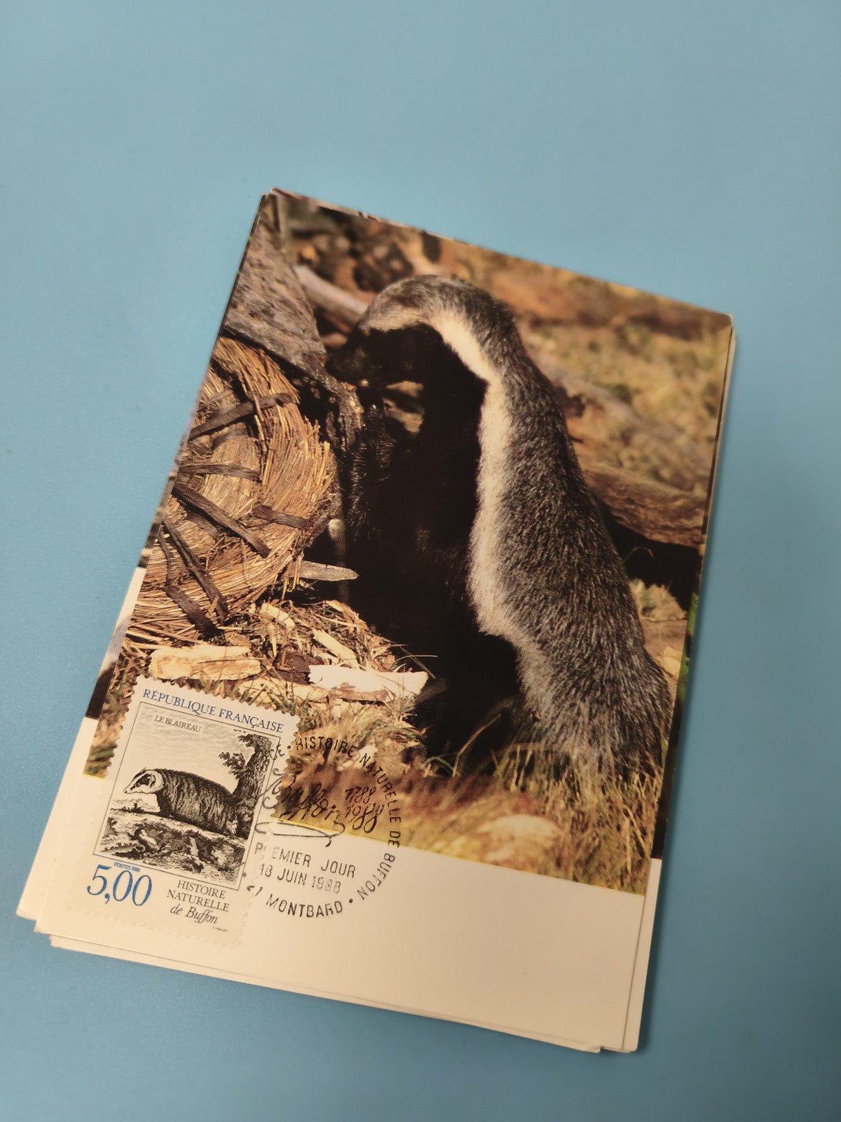 Carte postale philatélie blaireau timbre France faune nature 1989 Montbard