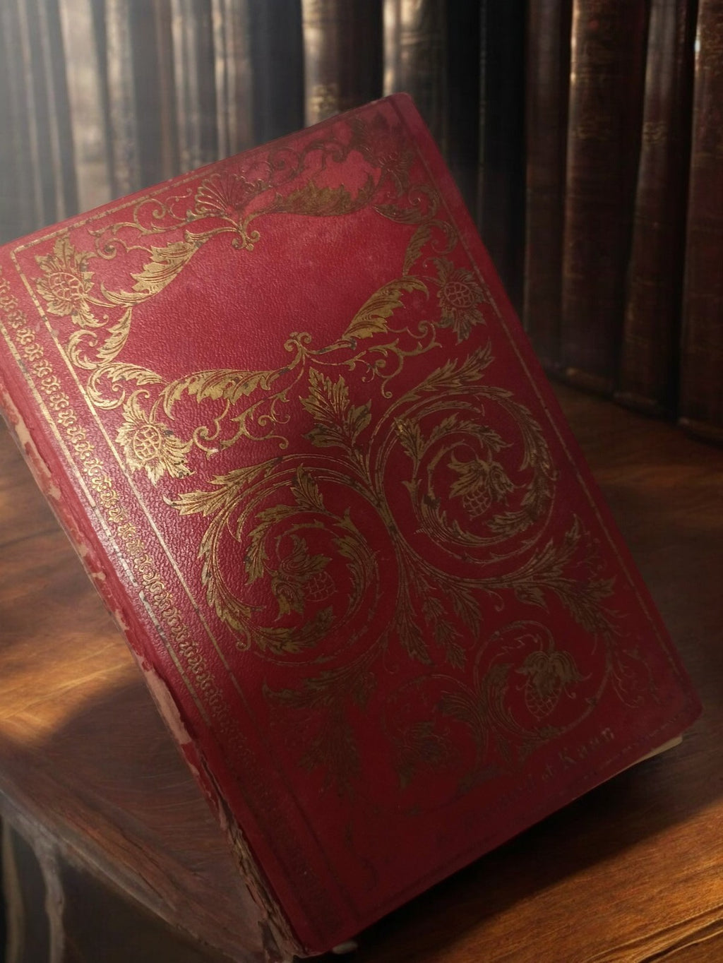 Livre ancien reliure rouge or Les aventures d?un petit chien vintage rétro