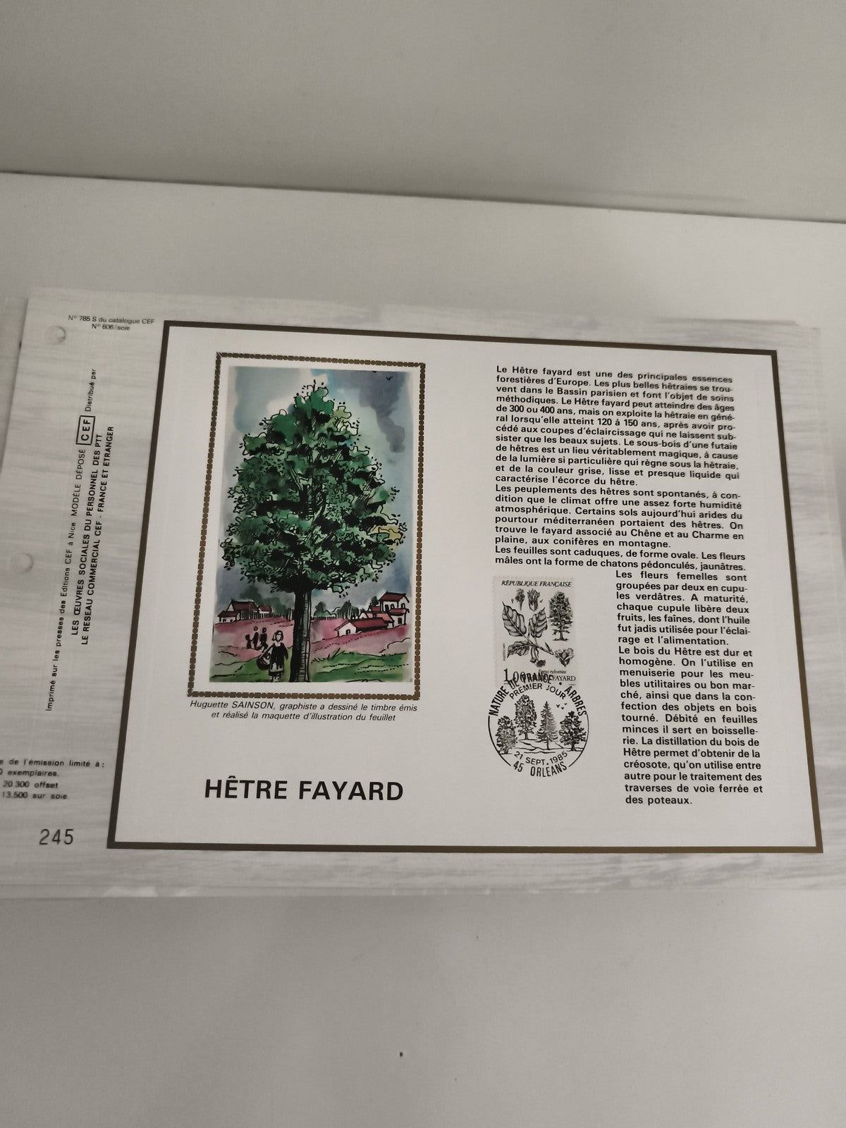 Feuillet philatélique CEF HÊTRE FAYARD timbre illustré botanique