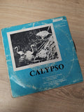 Vinyle 45 tours rétro calypso ancien disque collector pour collectionneur vintag