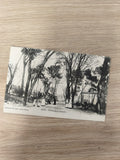 Ancienne CPA Alais Promenade du Bosquet ? Carte postale vintage noir et blanc